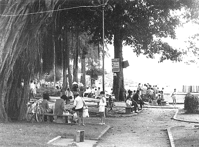 some people sitting on a bench near many trees