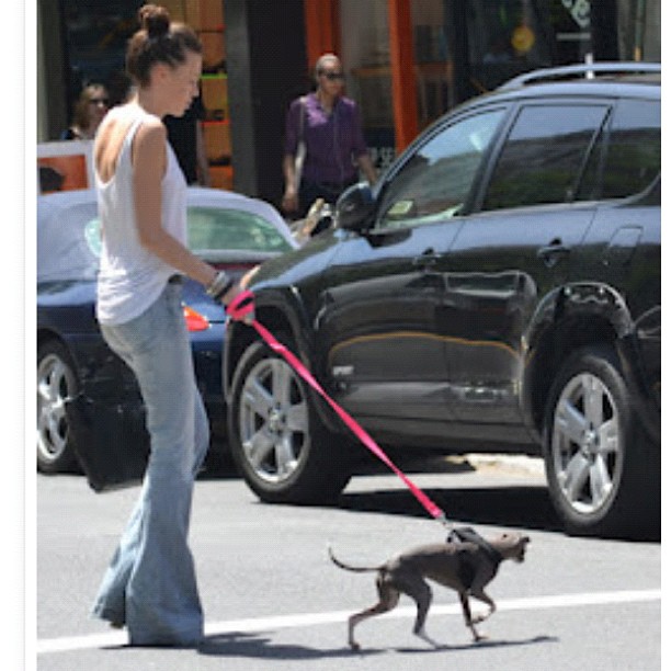 a woman walks a dog on a leash through the city
