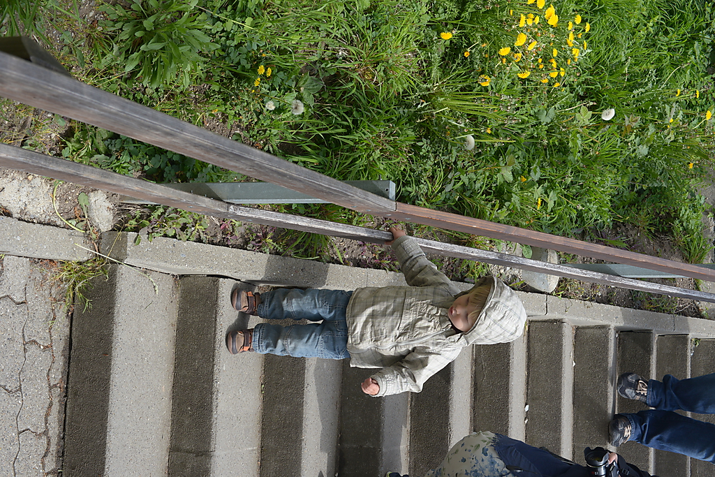 two children climbing up stairs with green plants