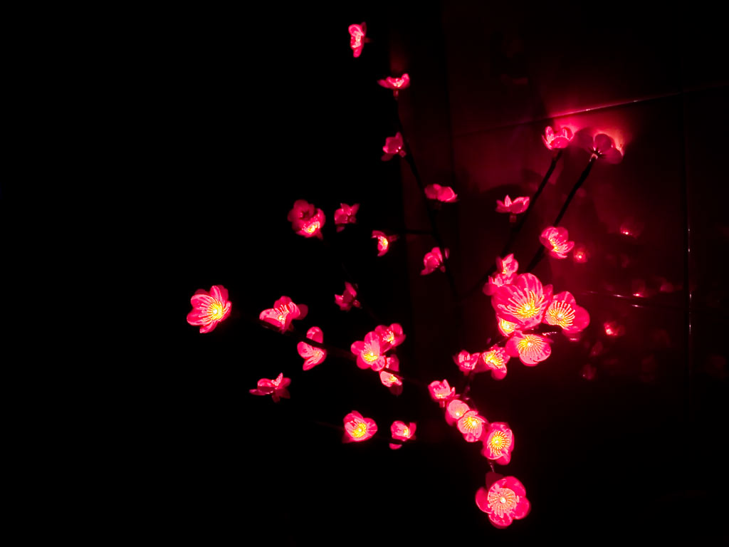 this is an image of many lights and flowers in the dark