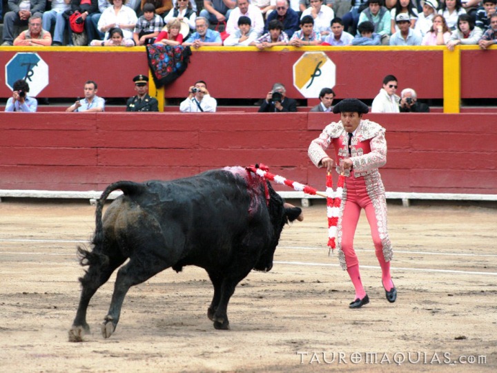 the bull and man are competing in the circus