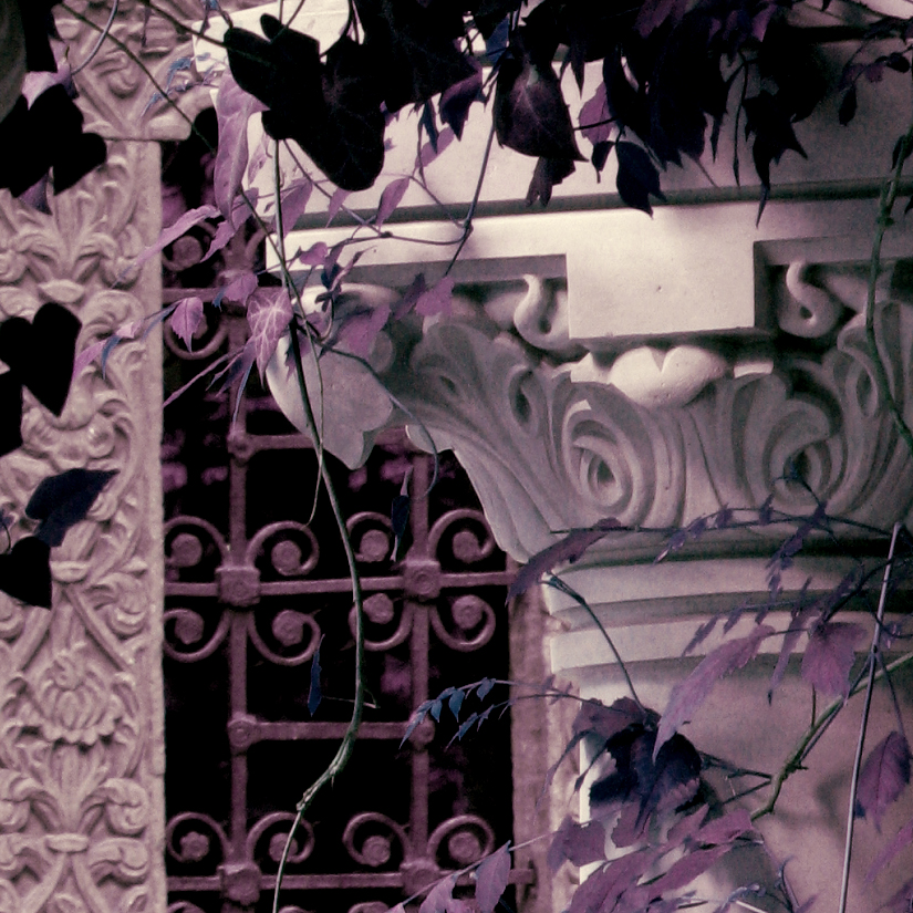 purple flowers are growing on an intricate planter