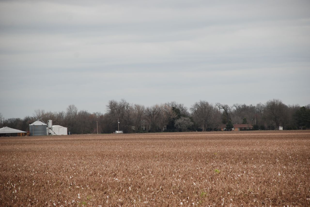 a rural farm with lots of tall brown grass