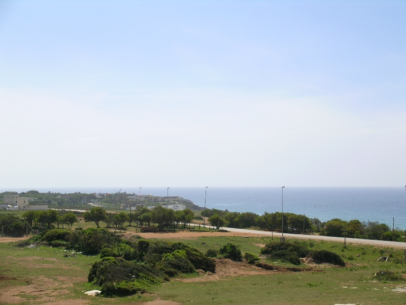 a hill with some people sitting on it near the ocean