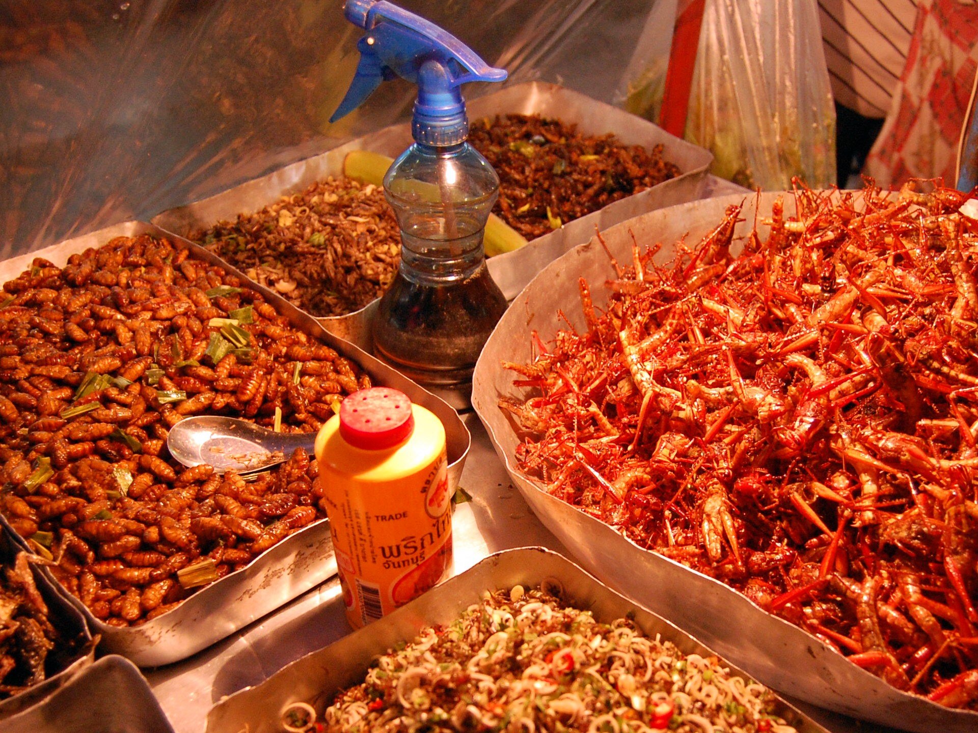 many metal pans filled with food next to other containers of food