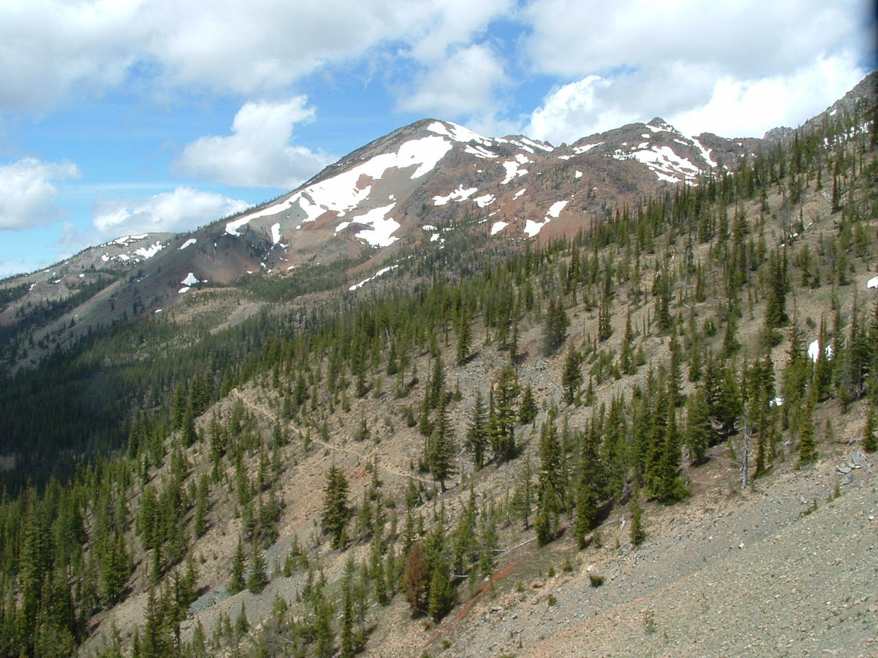 mountains covered in snow and surrounded by forest