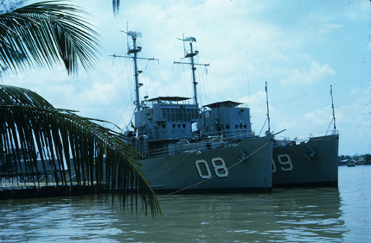 a large ship in a bay with palm trees