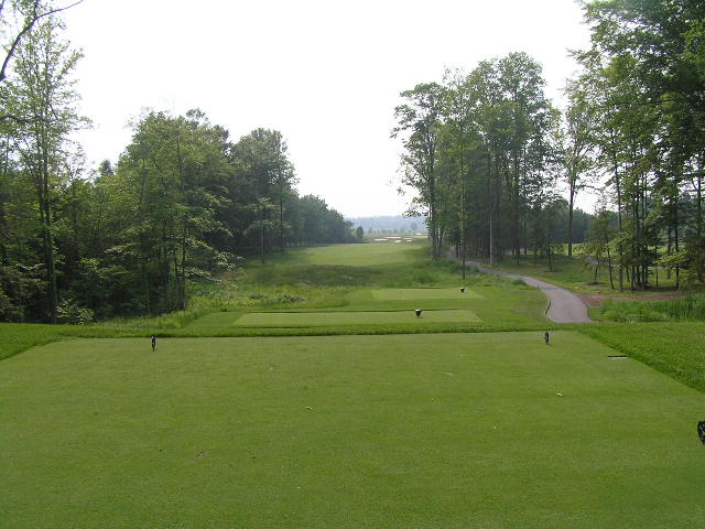 a green golf course with a view of the trees