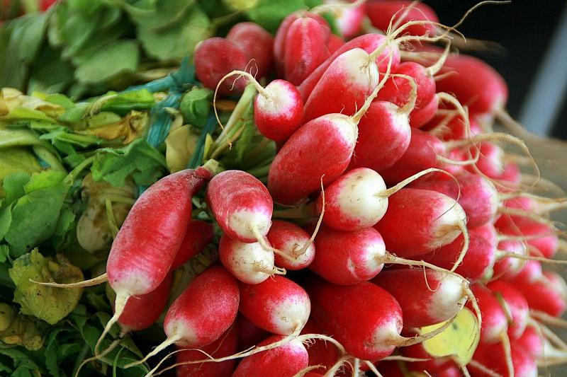 fresh radishes in various stages of drying on the table