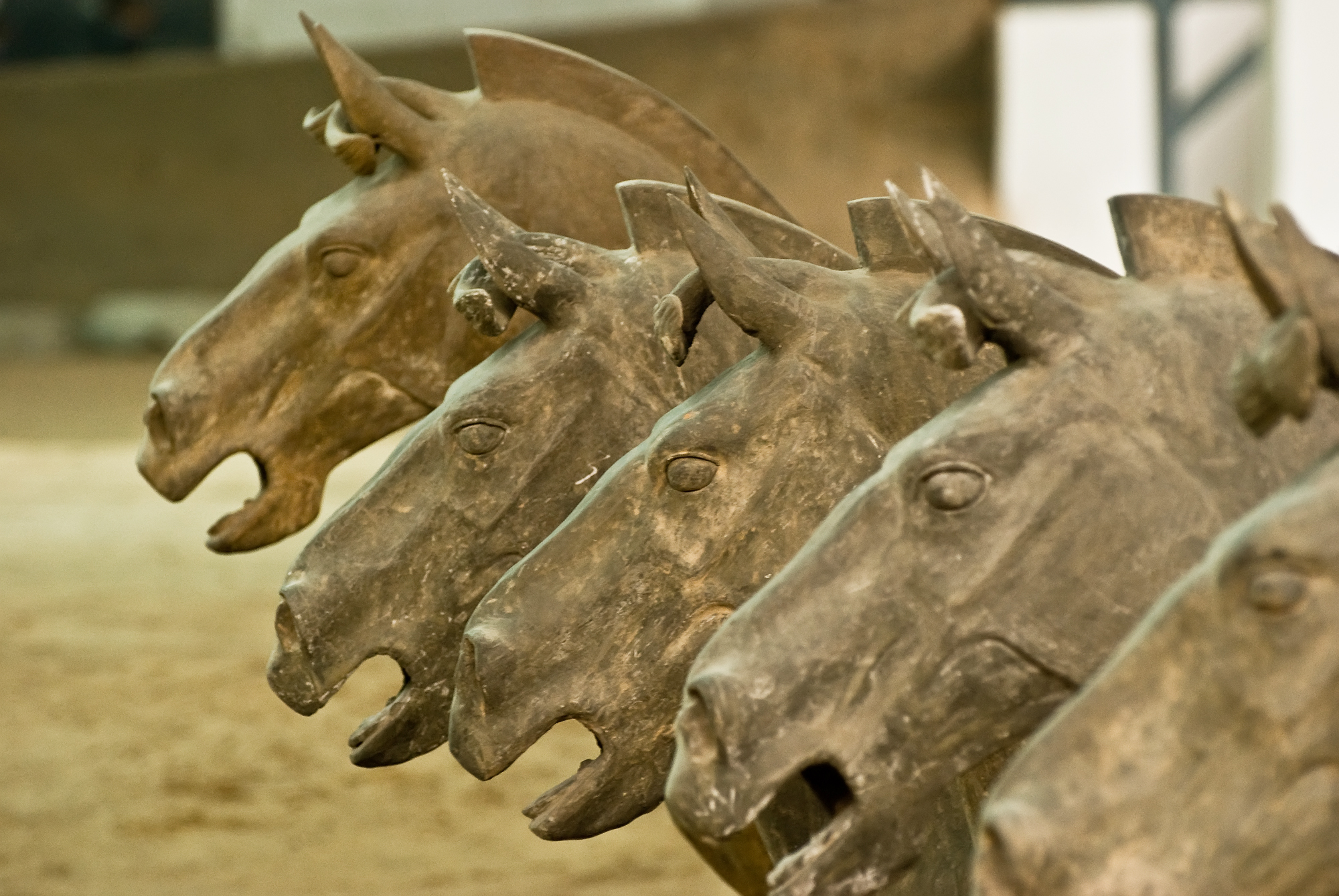 there are many horse heads lined up by each other