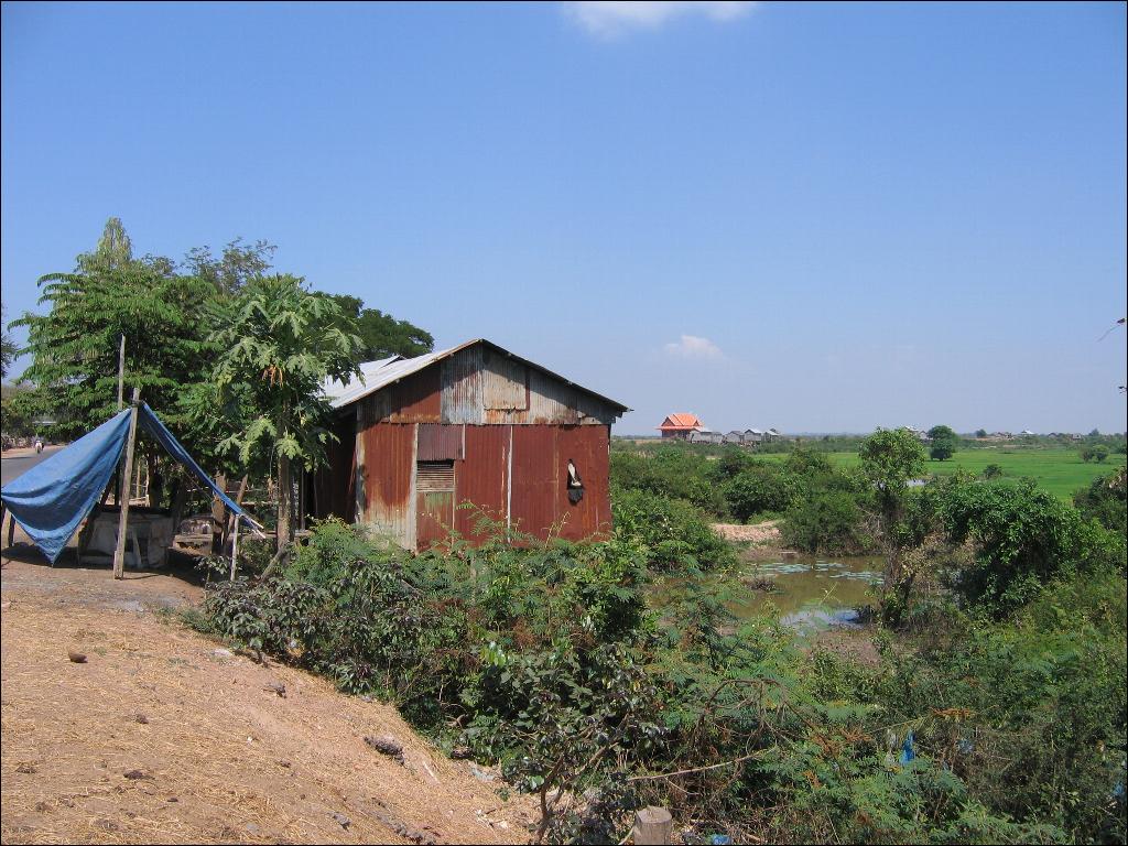 there is a outbuilding building near the trees