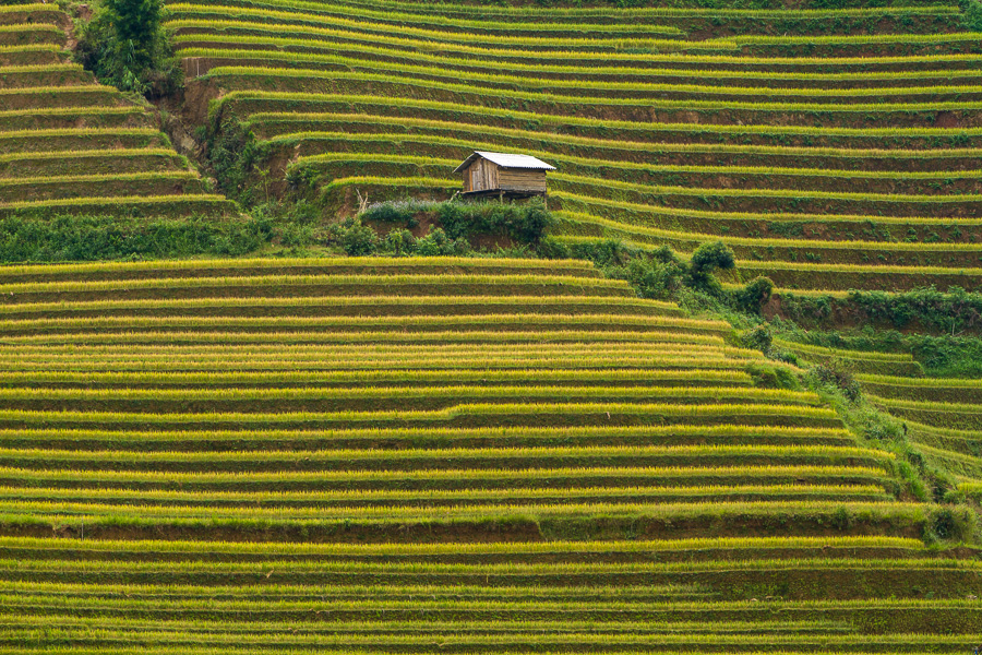 the terraces in sapul can be seen during the day