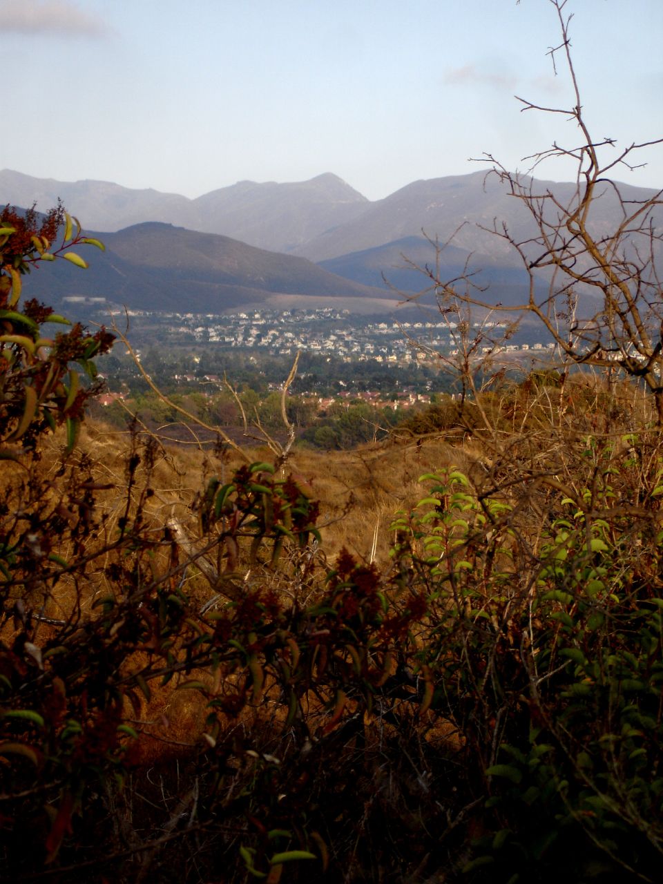 some brown grass bushes and trees mountains clouds and buildings