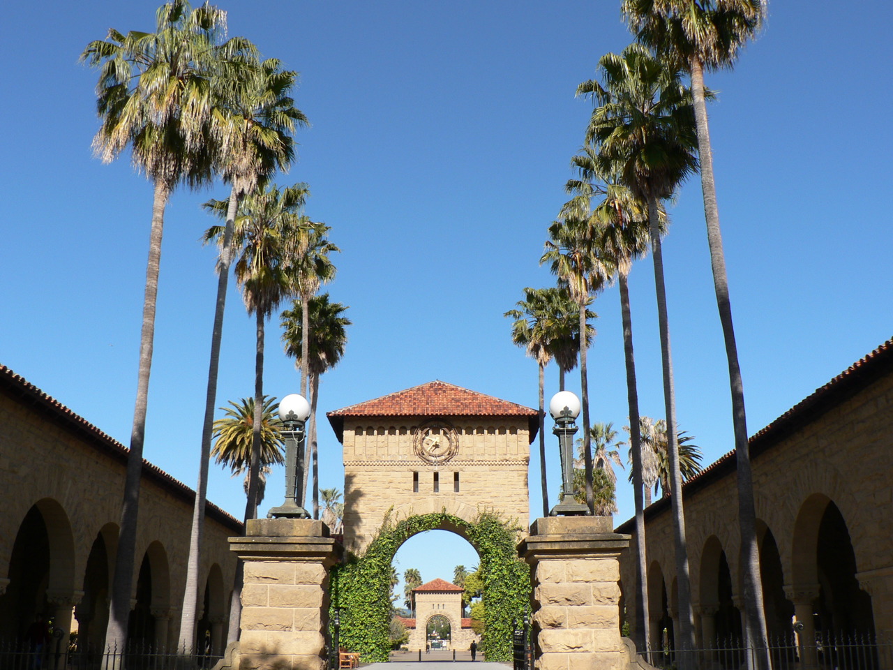 a gate and palm trees line an entrance to a courtyard