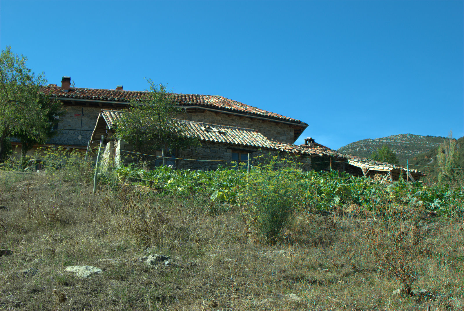 a big house with a very tall roof