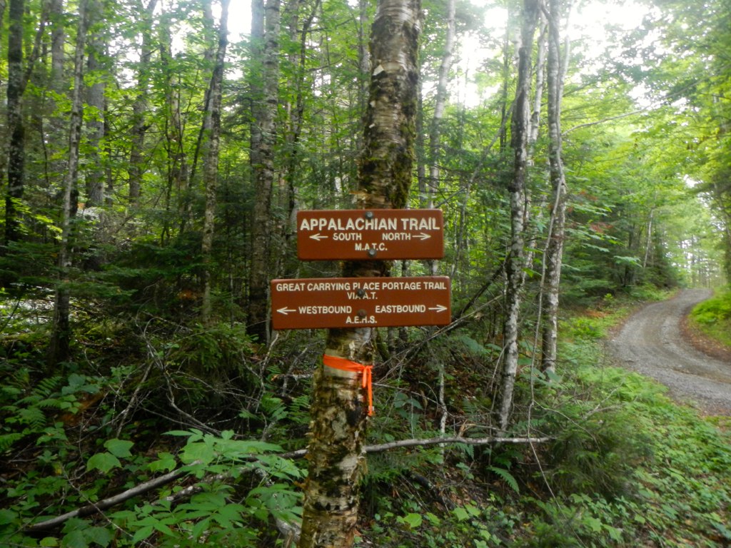 a sign is pointing to the various areas of the park