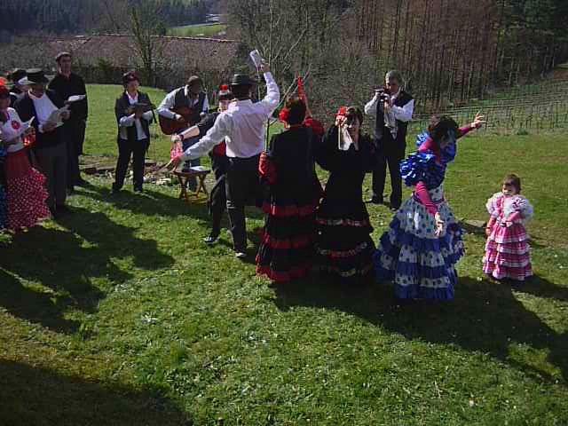 many people in folk costumes, some dressed for carnival