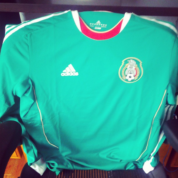 a green jersey that has a white stripe around the collar and back of it