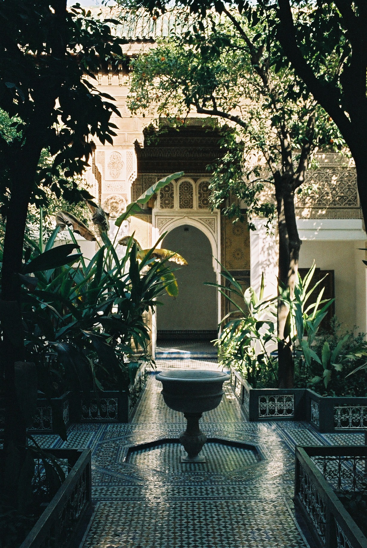 there is a water fountain surrounded by plants