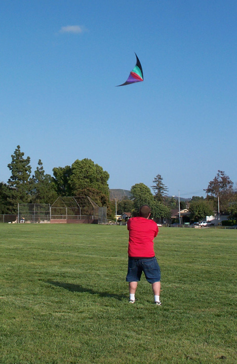 a person flying a kite on the field