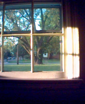 view from an open window on grass outside