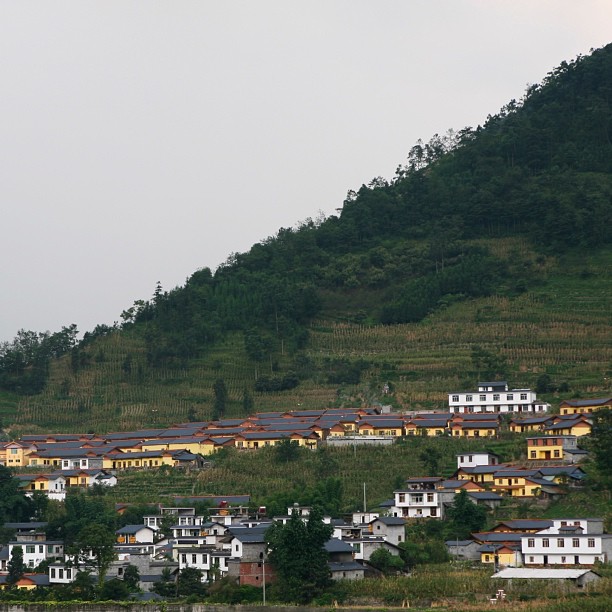 a group of houses sits on the hillside
