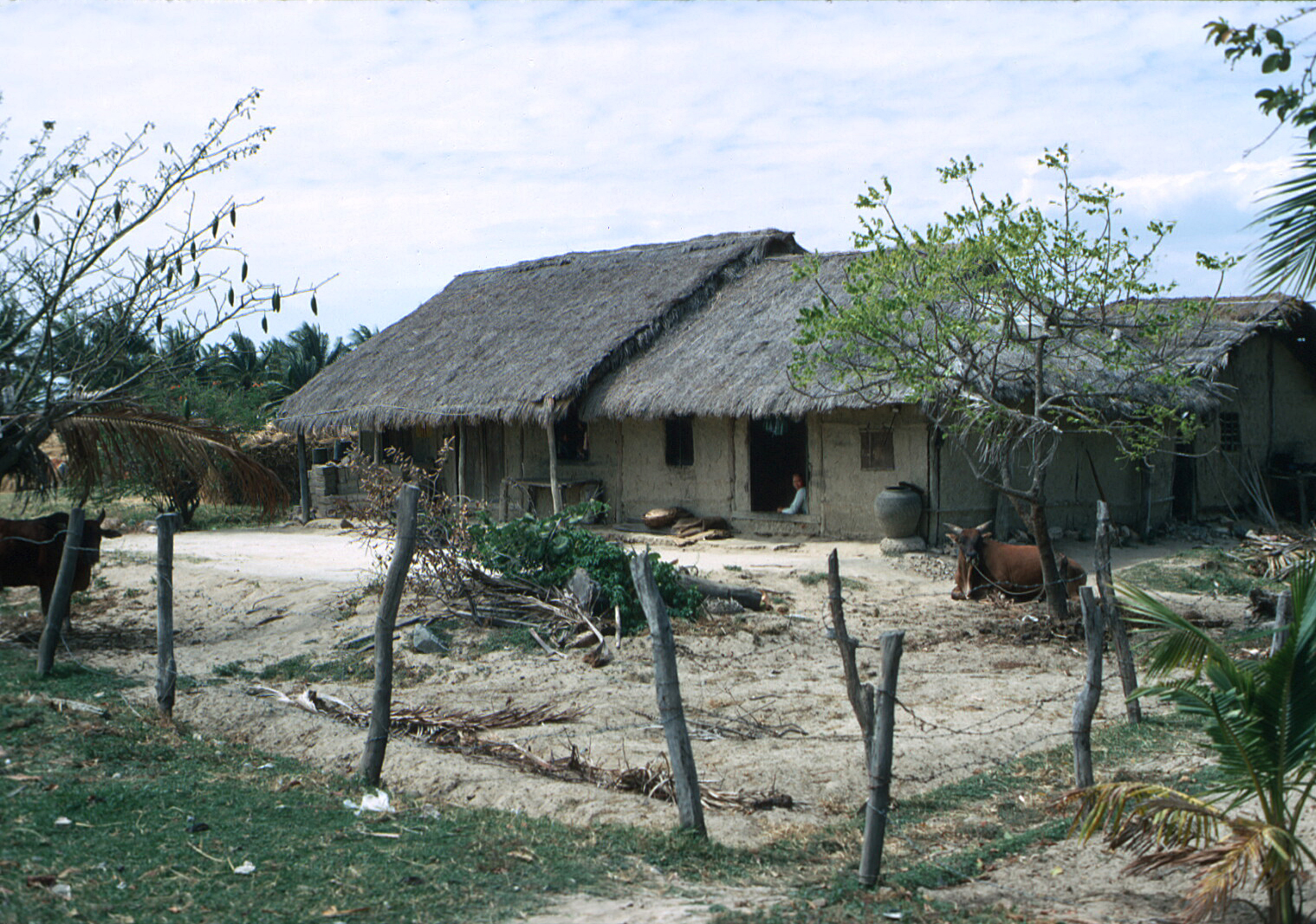 an african village with a large house and animals