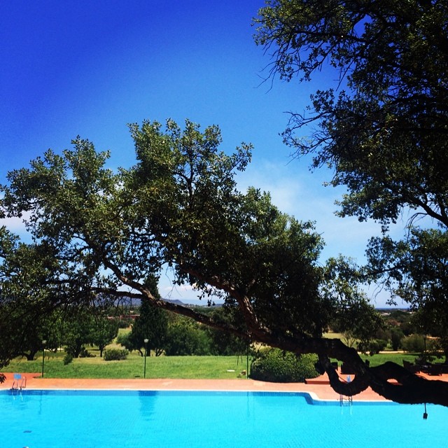 trees, benches, and a blue swimming pool on a nice day