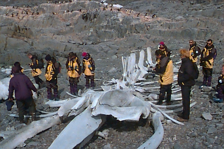 a group of people are standing by a skeleton