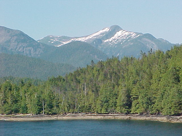 a view of a mountain range next to the trees