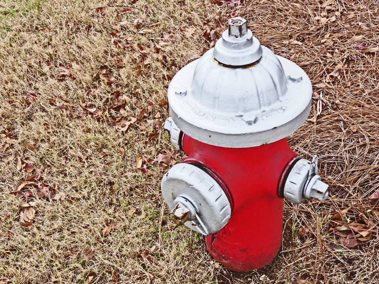 fire hydrant on grassy field with dry grasses
