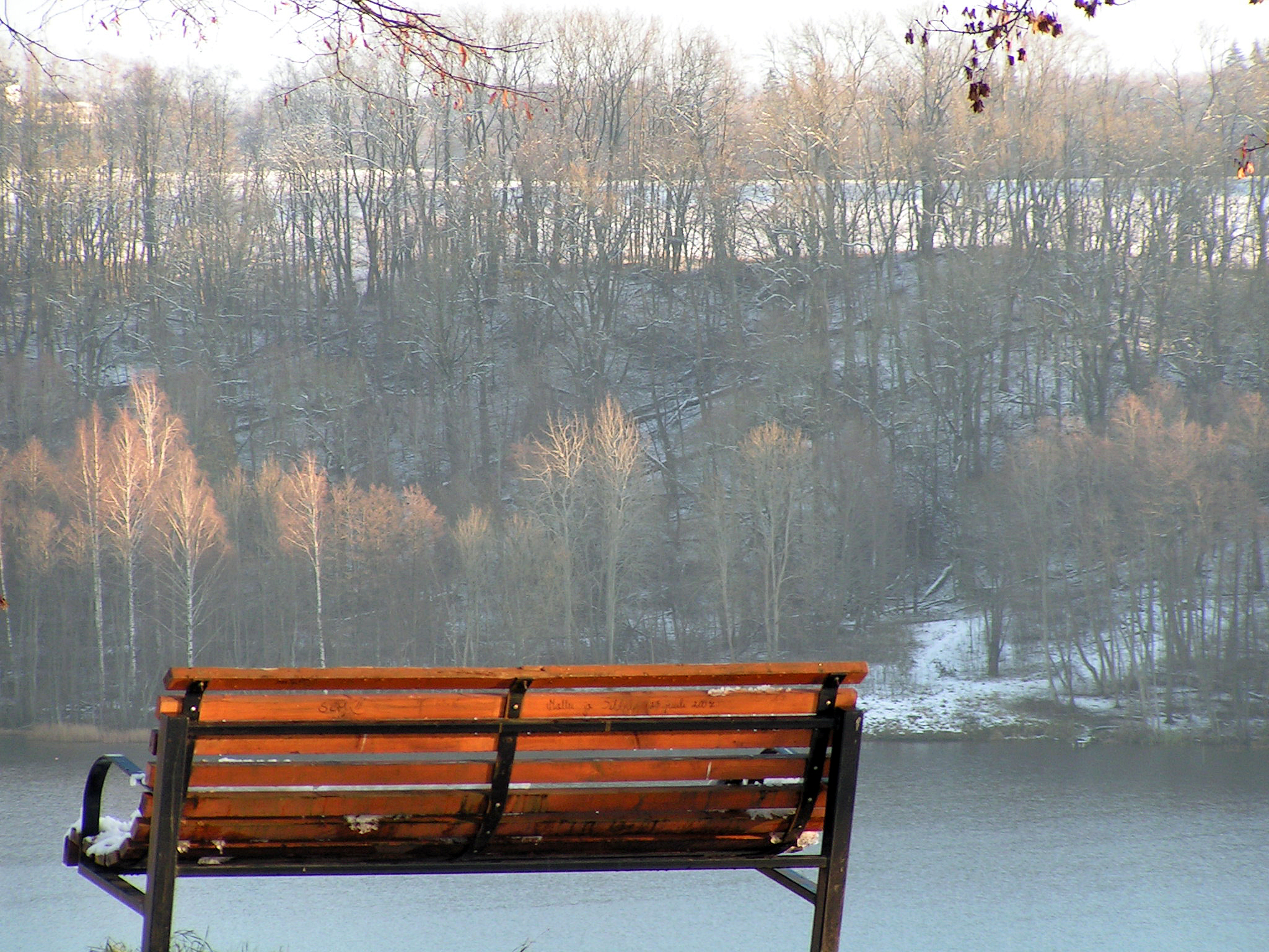 a wooden bench sitting by a lake in the woods