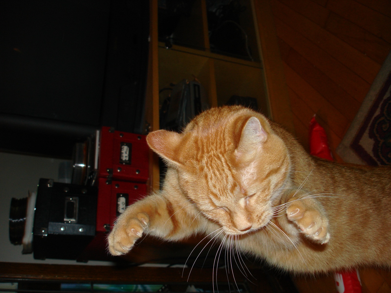 there is an orange cat playing with a video game controller