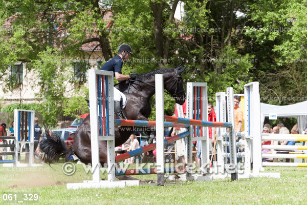 a person riding a horse jumping over an obstacle