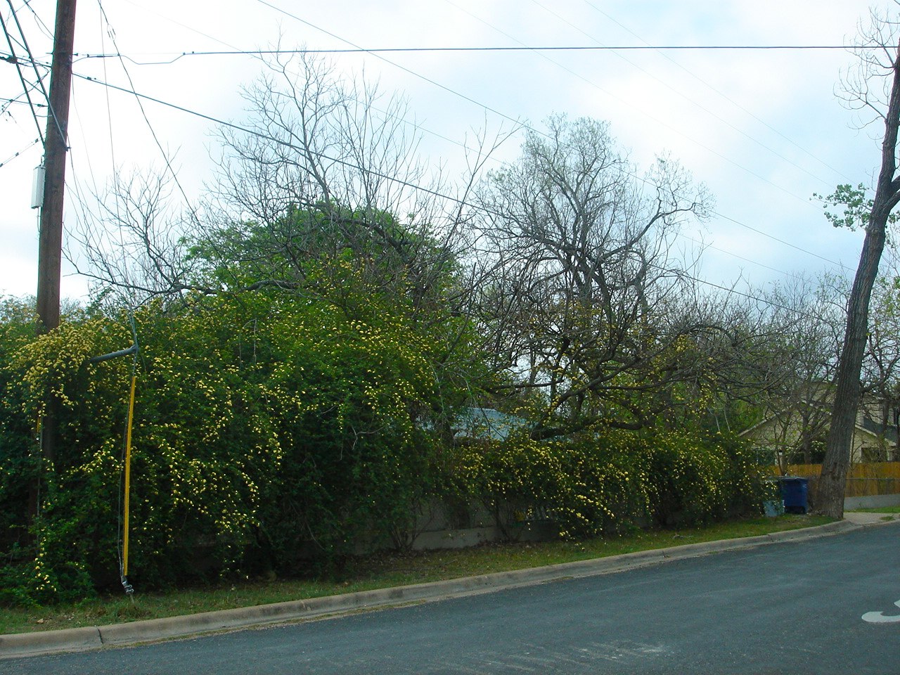 a street sign sitting next to a lush green field