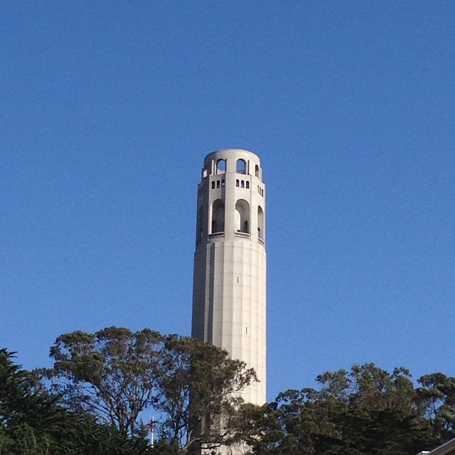the large white clock tower towering over the trees