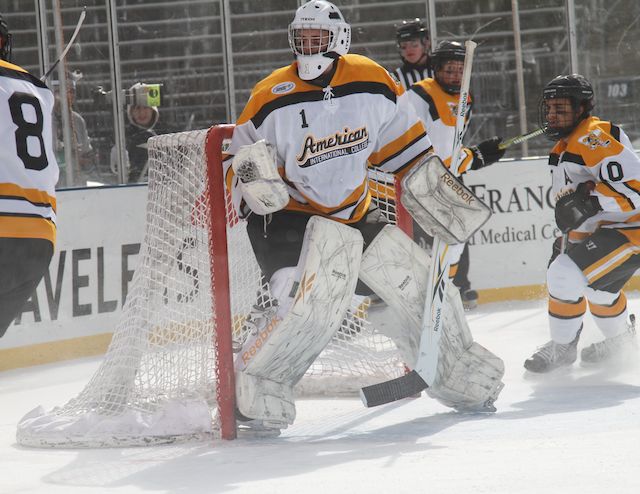 a goalie standing next to an ice hockey net