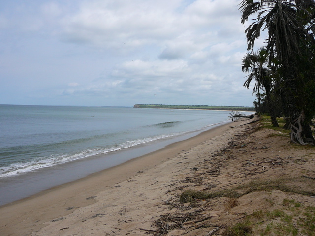 a beach near a tree line with people and boats in the water