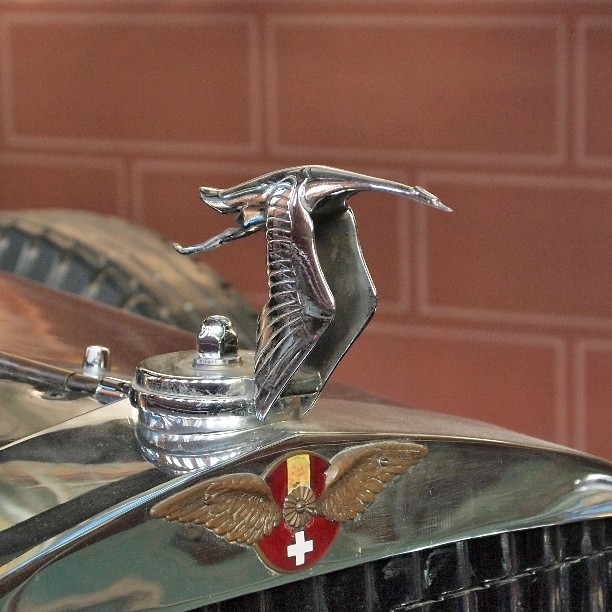 a close up of the emblem on a vintage car