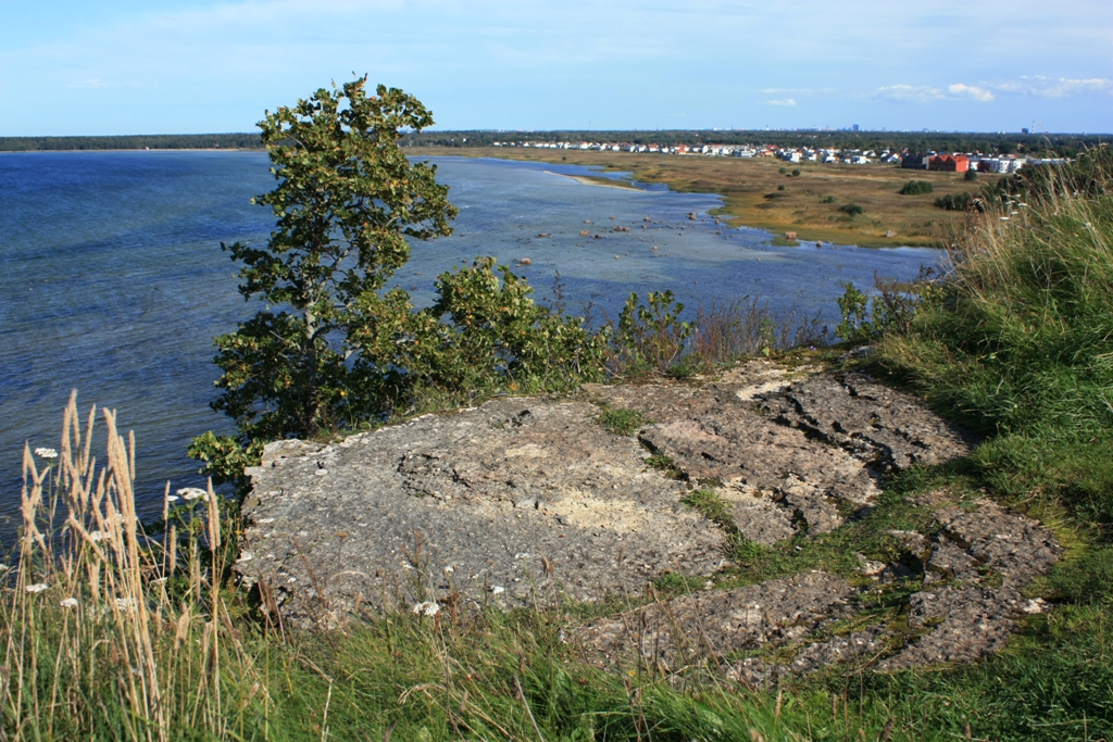 a water way with rocks by the grass and some water