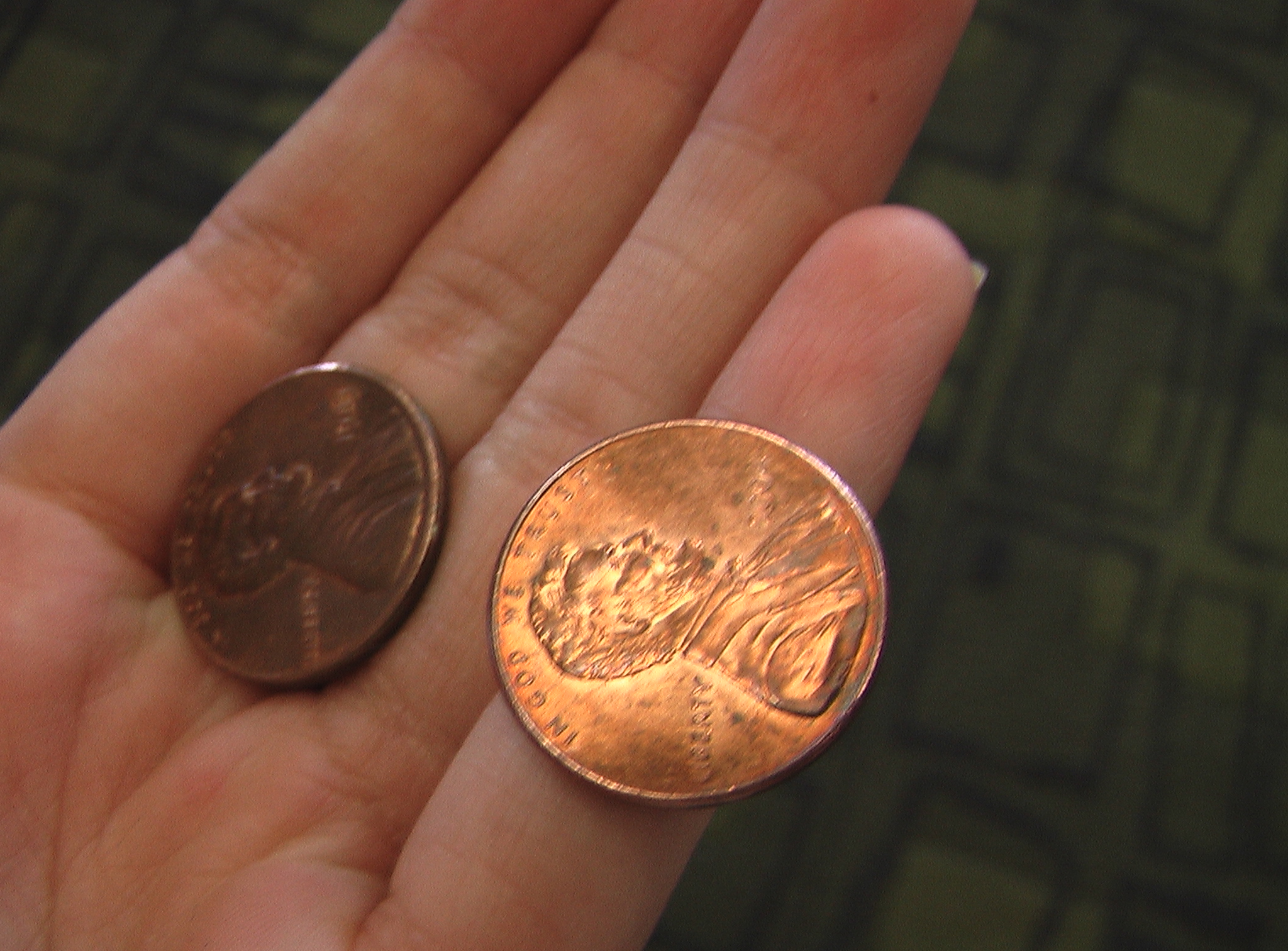 a hand is holding two indian rupees