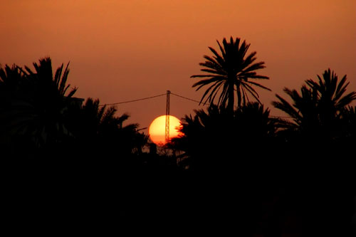 the sun is setting behind palm trees and it is setting