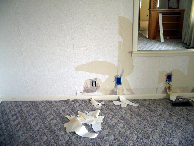 the room is torn apart and all pieces of toilet paper are spread over the floor