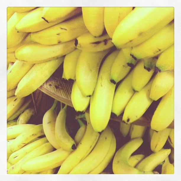 some ripe bananas are sitting together in the sunlight