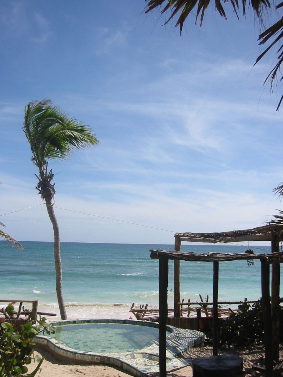 palm trees and a pool on the beach with waves