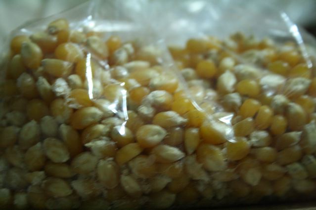 a closeup of corn and its wrapper