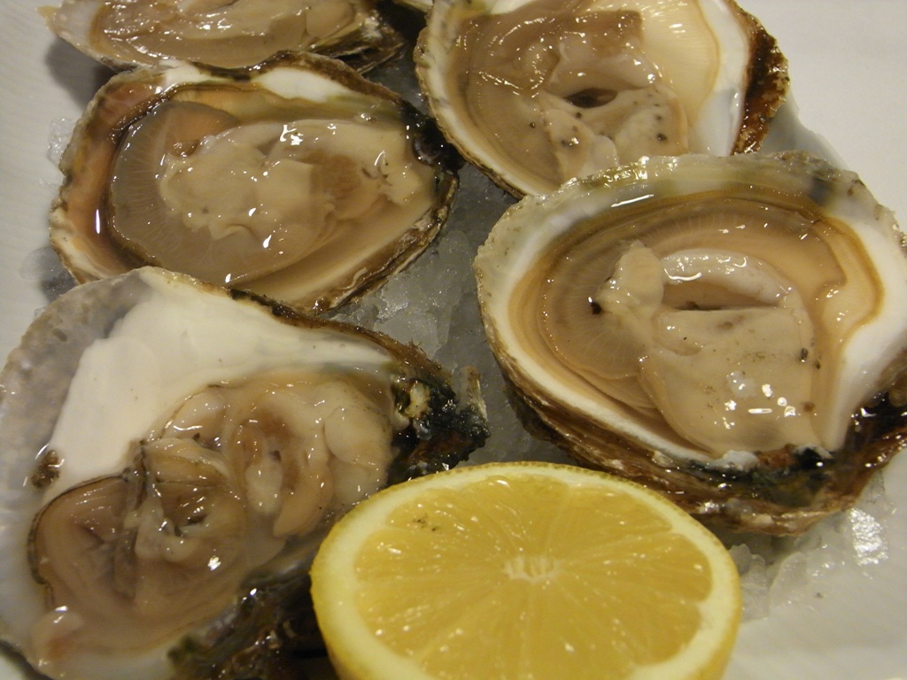 some oysters sitting on a plate with lemon wedges