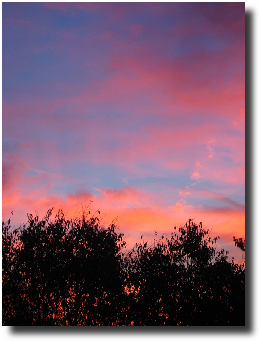 a very pretty sunset that is glowing with trees