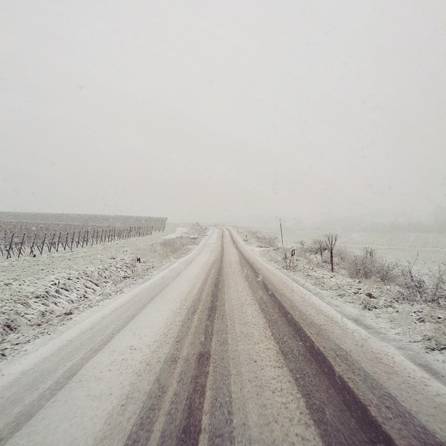 a snow covered road near a vineyard in the middle of winter