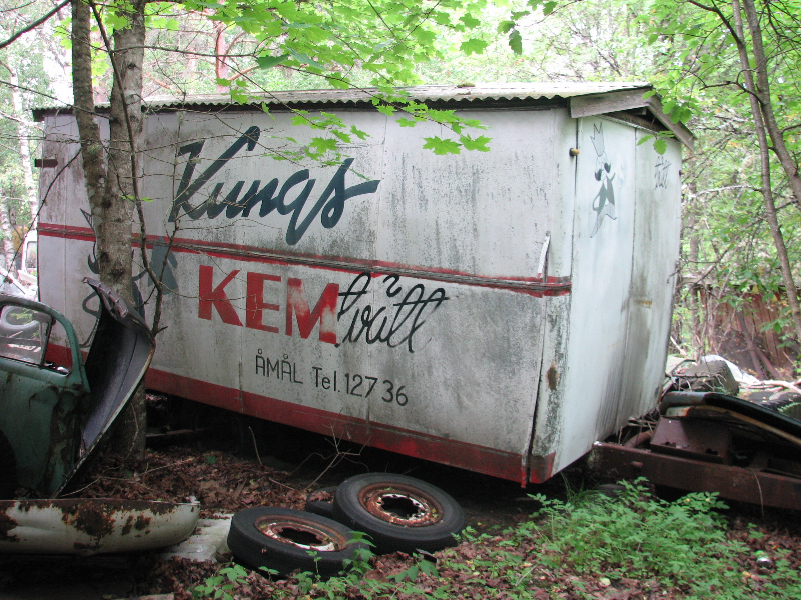 an old dumpster is in the woods next to junk